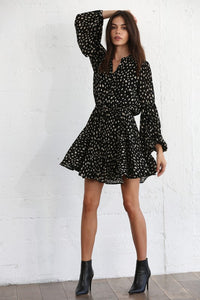 Button Down Polka Dot Swing Dress